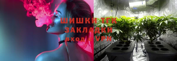 соль ск Богородицк