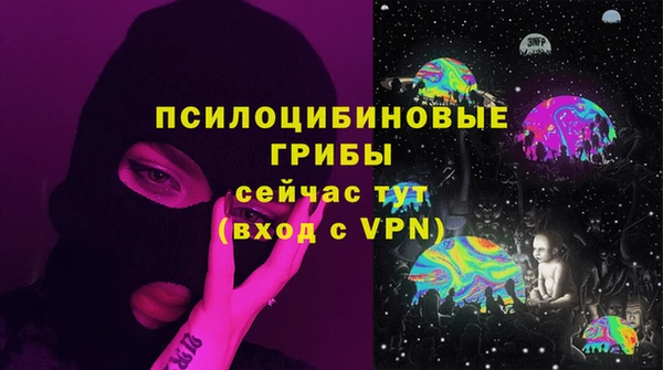 метамфетамин Богданович