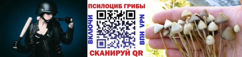 Галлюциногенные грибы мицелий  Дигора 
