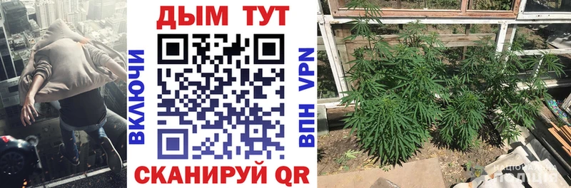 Конопля план  Дигора 
